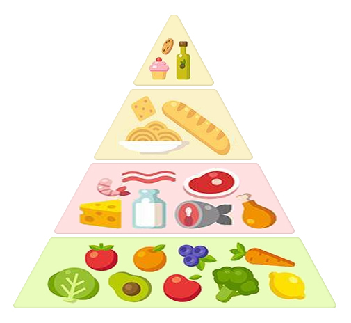 A cartoon image of a food pyramid with junk food on top, then carbs like pasta and bread, then proteins like meat and dairy, and finally fruits and vegetables in the biggest portion.