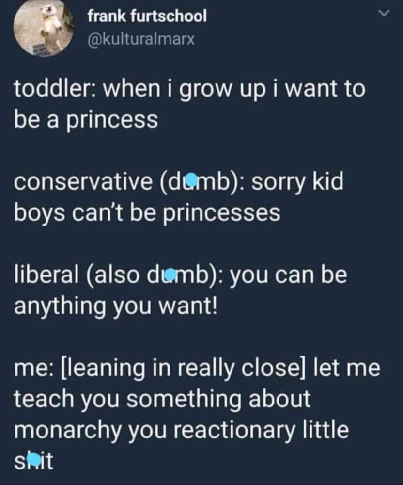 Toddler: When I grow up I want to be a princess. Conservative: Sorry kid, boys can't be princesses. Liberal: You can be anything you want! Me: [leaning in real close] Let me teach you something about monarchy, you reactionary little shit.