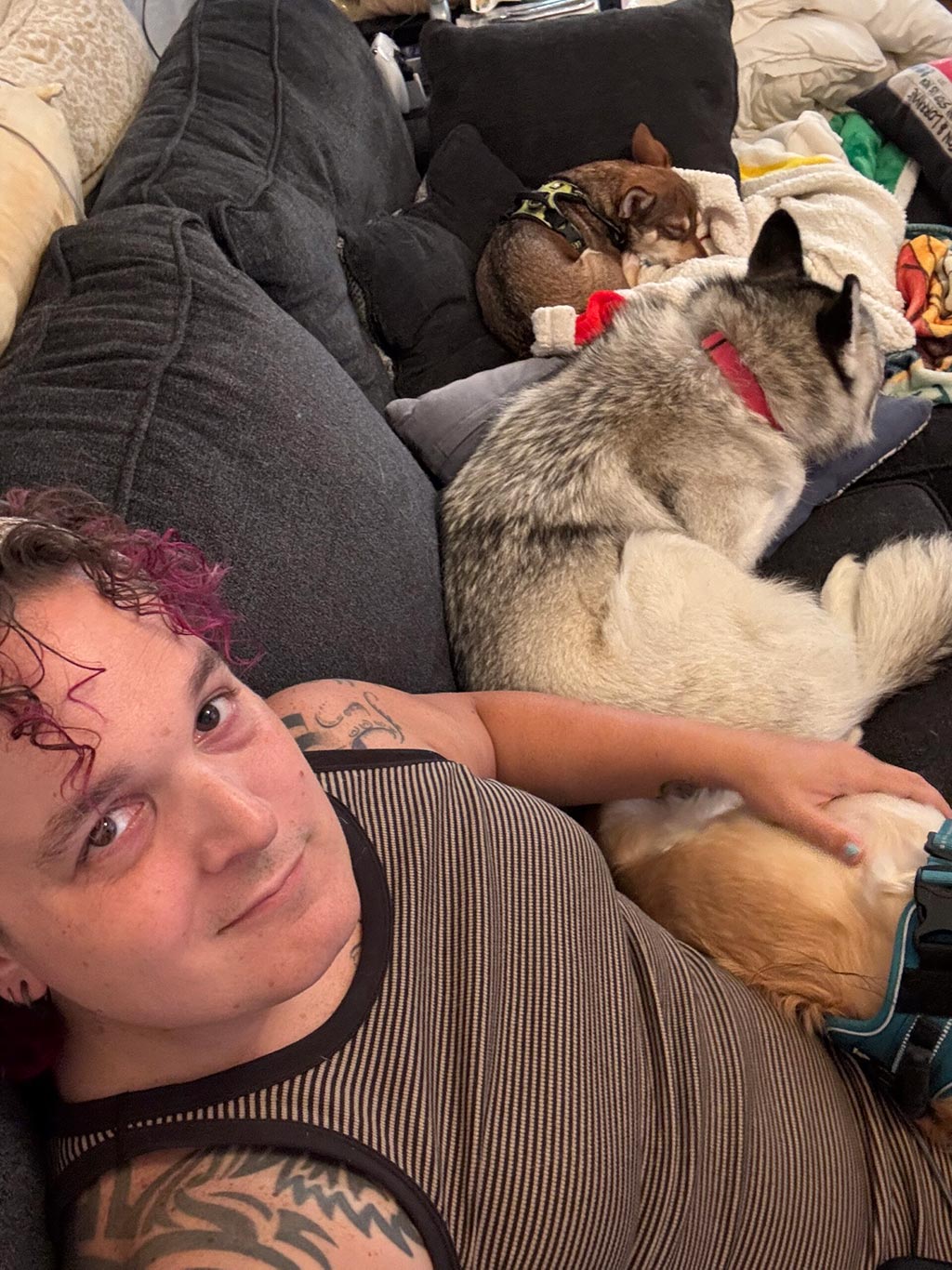Corry on a couch surrounded by dogs