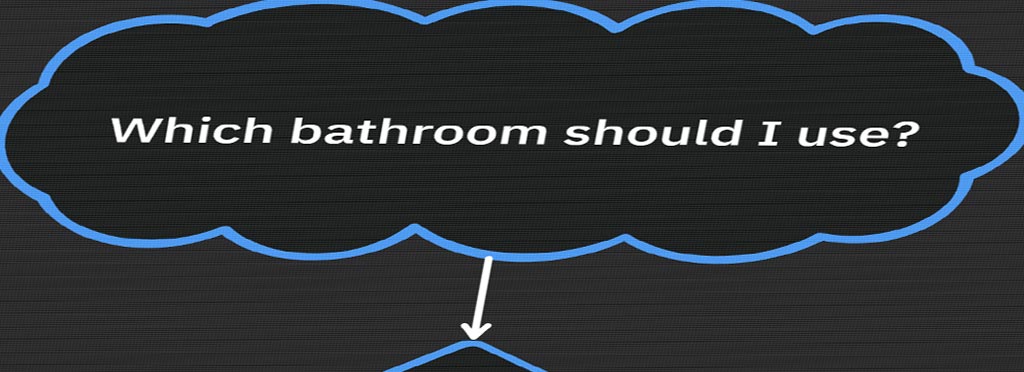 Which bathroom should I use? in a thought bubble with an arrow pointing down indicating a decision tree is cropped out of the image