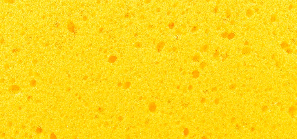 A yellow sponge